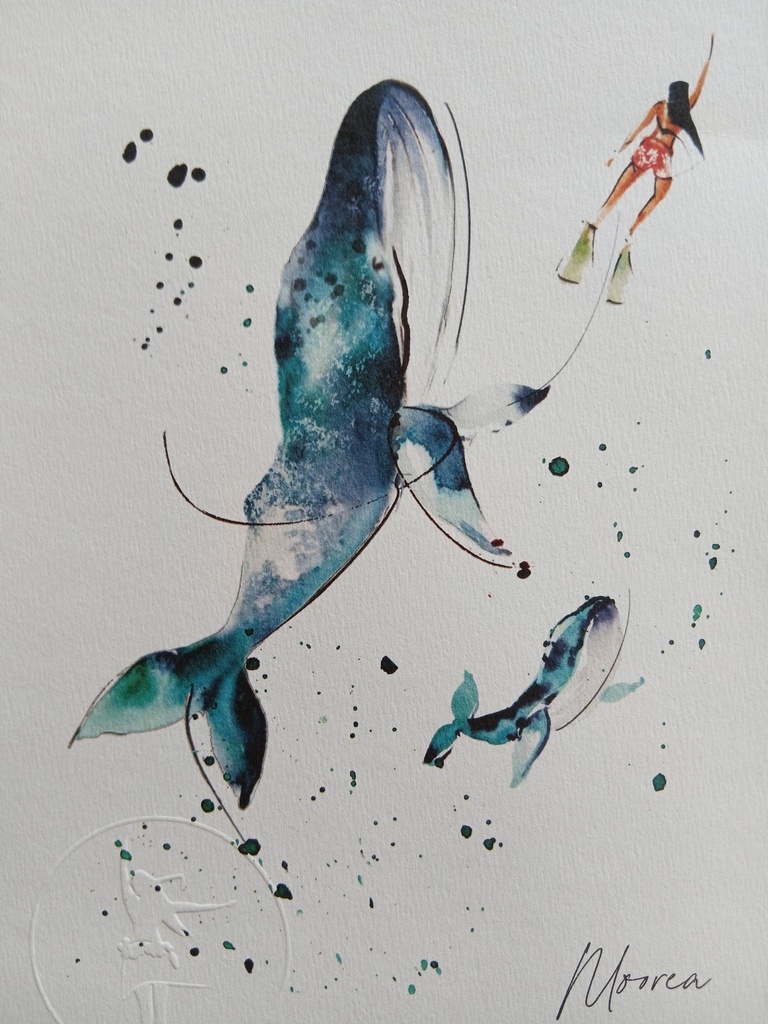 Affiche A5 Baleines, AQUANELL
