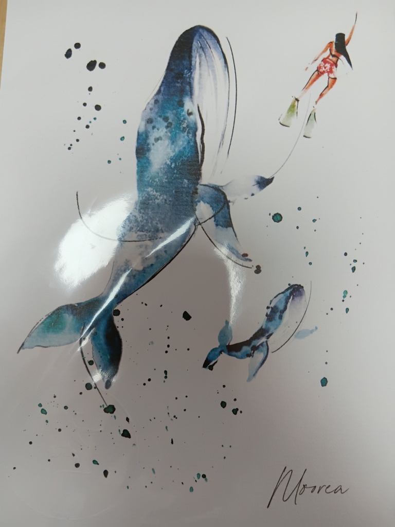 Affiche A5 Baleines, AQUANELL