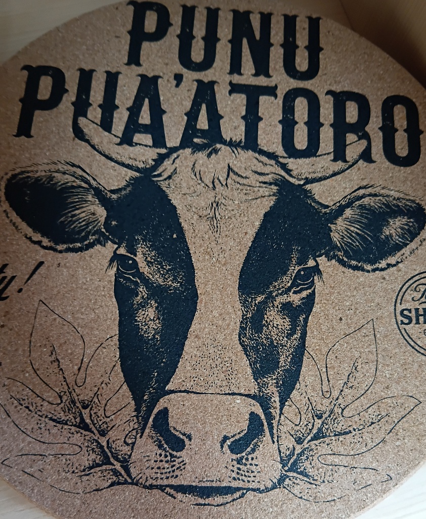 TAHITI SHIRT, DESSOUS DE PLATS