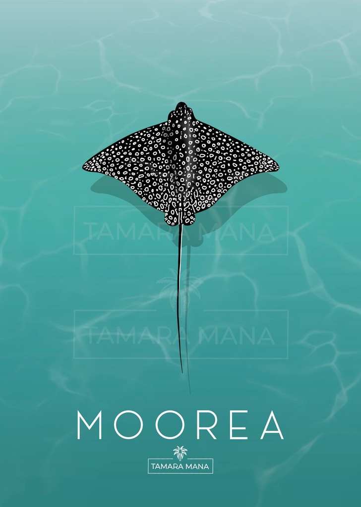 Affiche A3 , TAMARA MANA