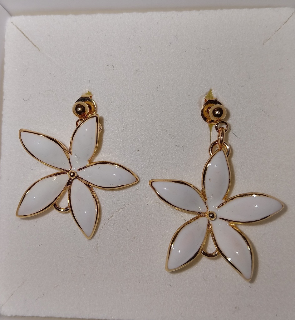 BO Tipanie clous, FAFARU VIBRATION