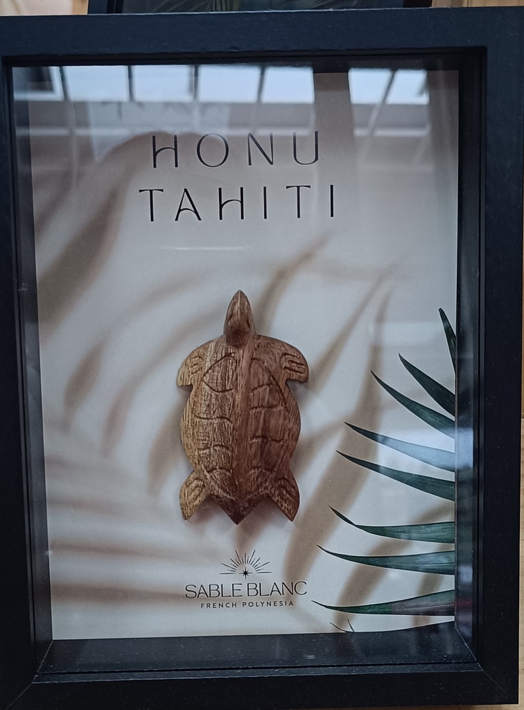 Cadre Tortue, SABLE BLANC 