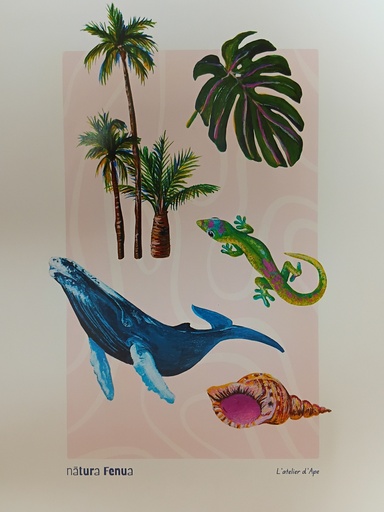 Affiche A3 Natura Fenua, APE   (Baleine)