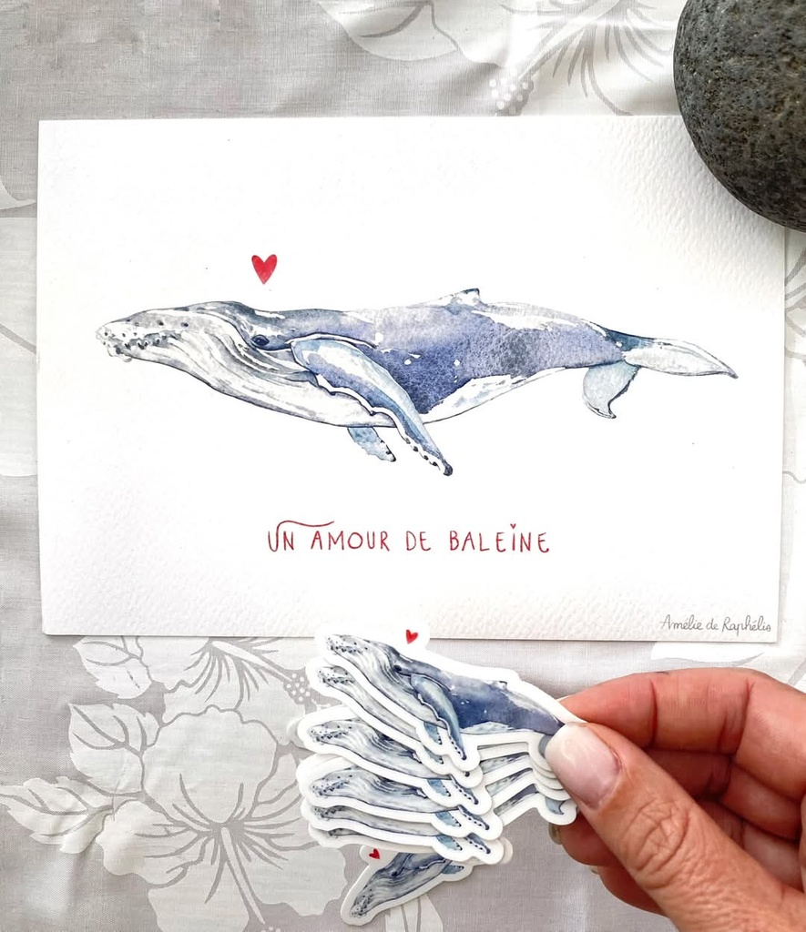 Affiche A5 baleines, BLANCHES TULIPES