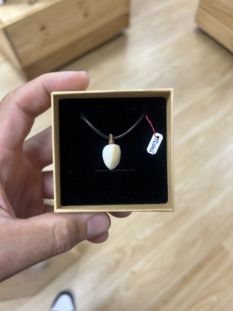 TC005, Opercule de Burgau, TEREHERE CREATIONS