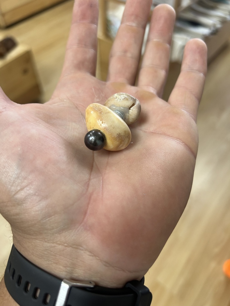 magnet porcelaine