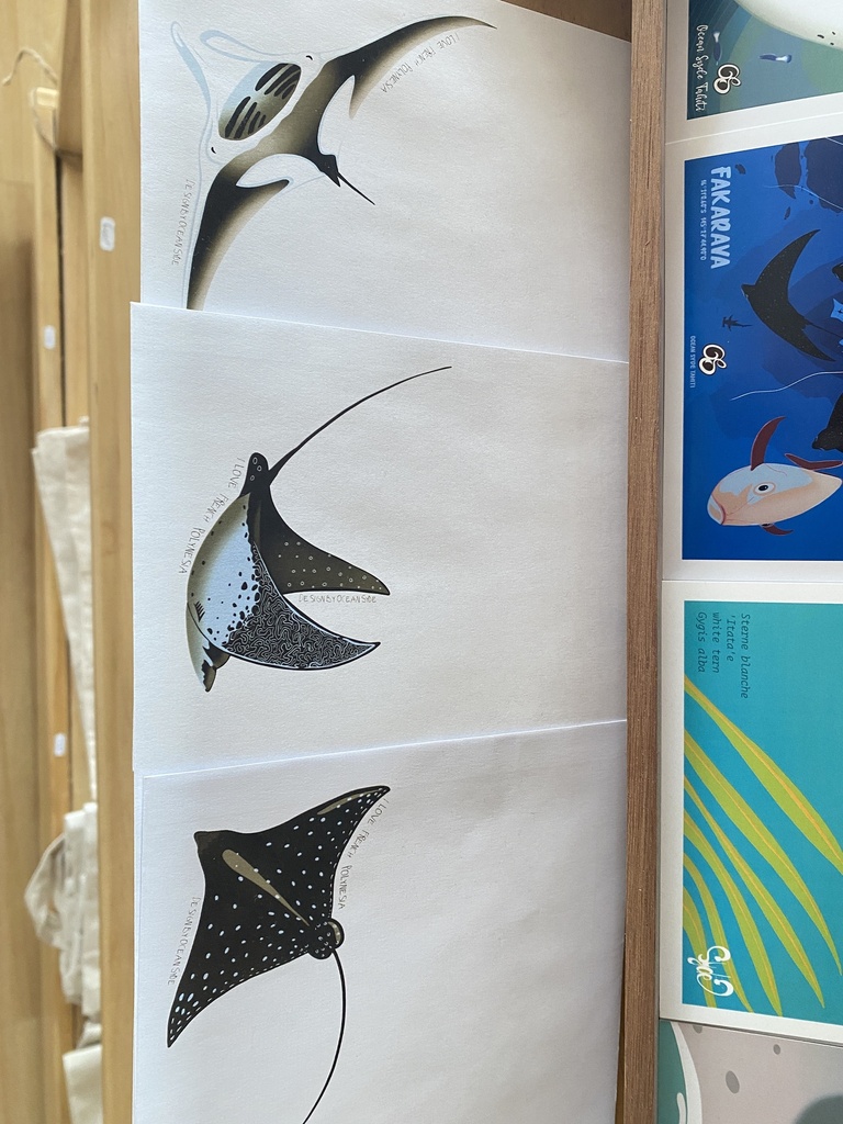 Enveloppe, OCEAN SYDE