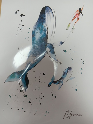 AQUANELL, Affiche A5 Baleines