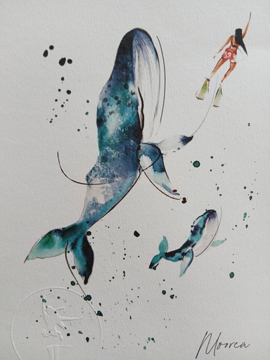 Affiche A5 Baleines, AQUANELL