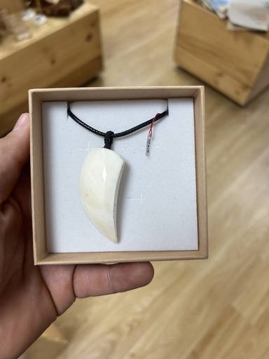 TC018, Opercule de Burgau, TEREHERE CREATIONS