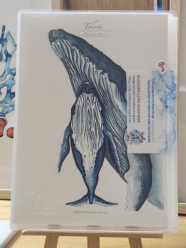 Affiche A5, LES PETITS PINCEAUX DANS L'EAU